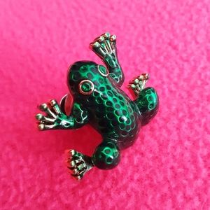 Vintage Turtle Pin